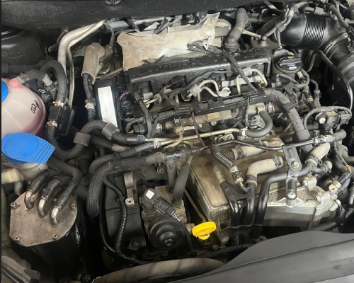 Volkswagen Motor Bakım ve Onarımı